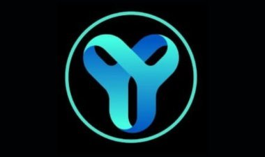 यश वर्ल्ड का विश्व कीर्तिमान - एक्स्चेंज पर लिस्ट होने के 24 घण्टों के भीतर मूल्य में विश्व की सबसे बड़ी प्रतिशत गेनर क्रिप्टोकरन्सी बनी